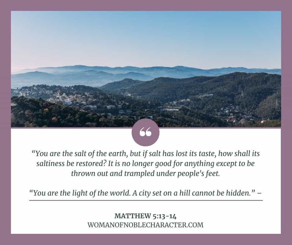 city on a hill; Matthew 5:13-14; be salt and light