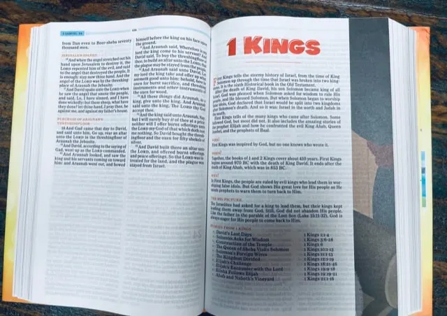 KJV BIble for kids; One Big Story Bible