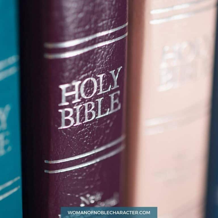 The 10 Best Bibles for New Believers to Grow in Faith