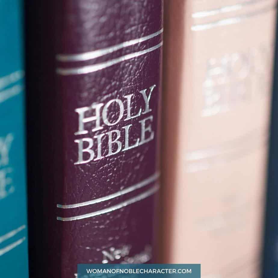 image of Bibles lined up on shelf for the post The 10 Best Bibles for New Believers to Grow in Faith