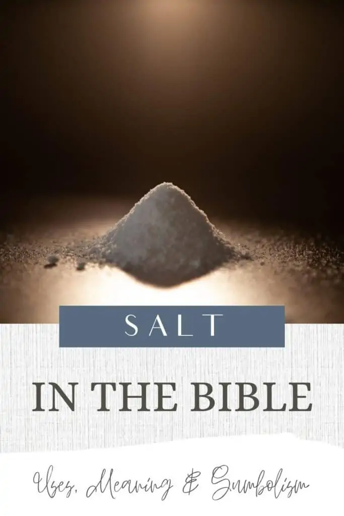 image of a pile of salt 
