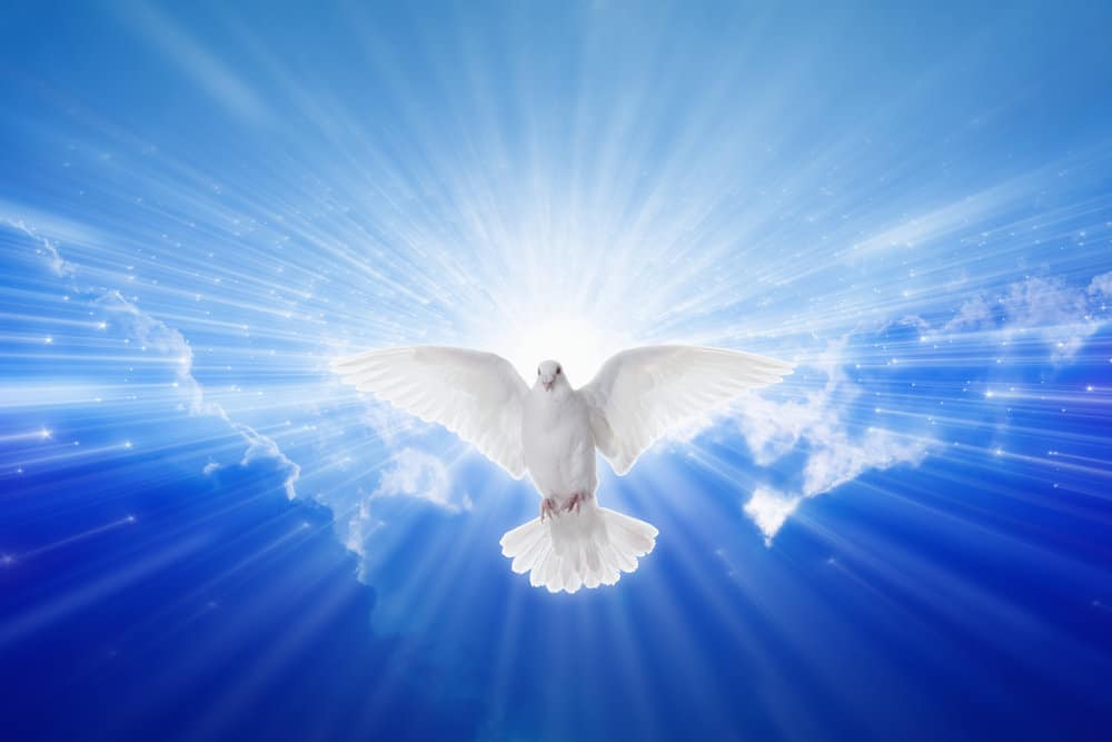 image of dove coming down like Holy Spirit for the post welcome the Holy Spirit
