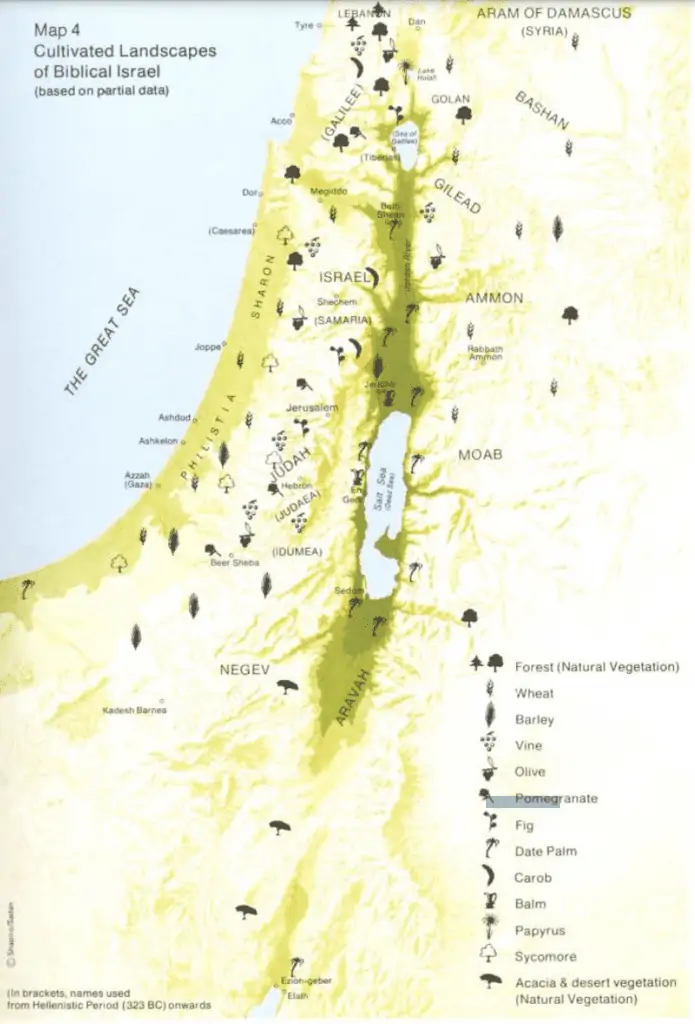 image of cultivated landscapes of biblical Israel for the post The Incredibly Interesting Symbolism Of Plants In The Bible