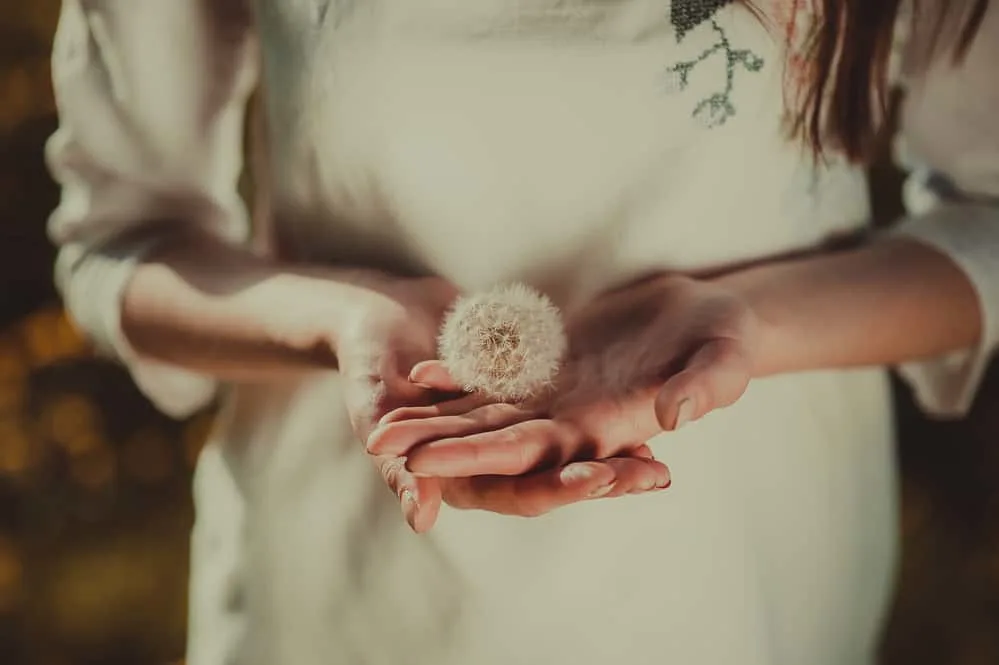 photo of girl holding a dandelion for the post Abigail in the Bible