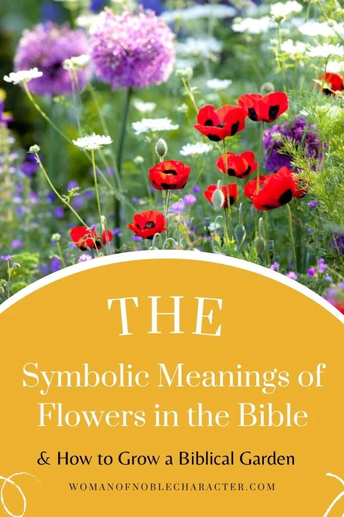 image of flower garden with the text The Fascinating Symbolic Meaning of Flowers in the Bible and What to Include in a Biblical Garden