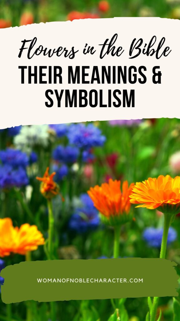 image of flowers in a garden with the text flowers in the Bible their meanings and symbolism