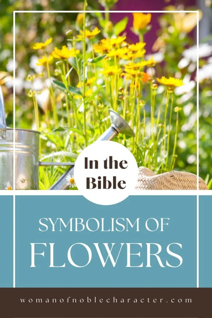 image of home garden with the text in the Bible symbolism of flowers