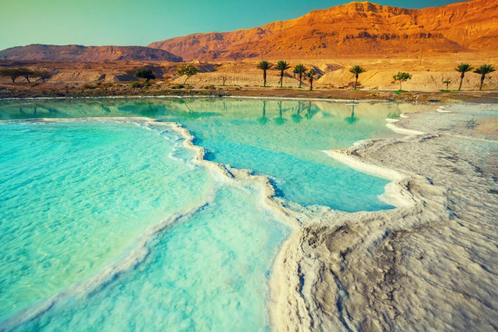 Dead sea salt shore for the post on Holy Land Tours 2024