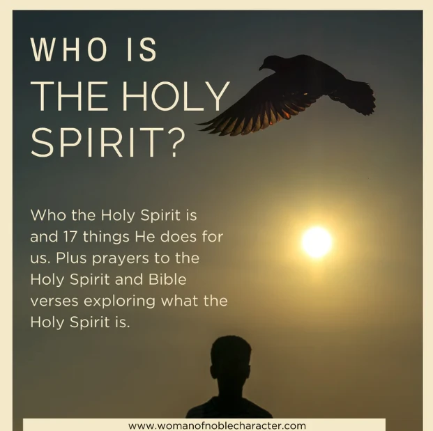cover of who is the Holy Spirit ebook