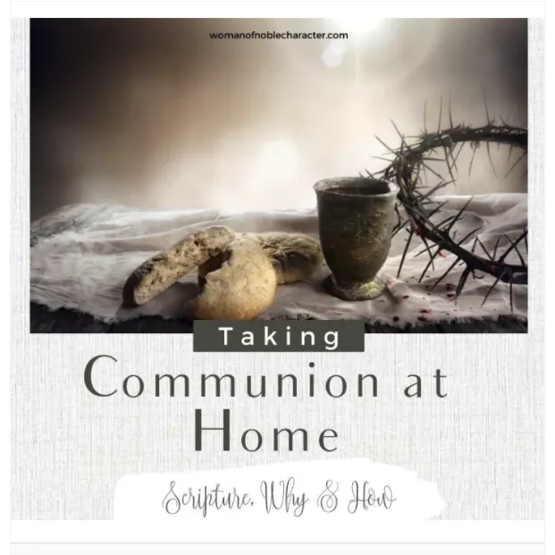 cover of taking communion at home ebook