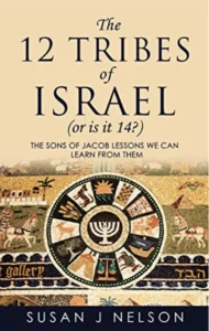 cover of the twelve tribes of israel book by Susan J Nelson