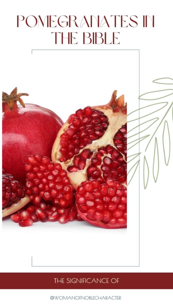 whole and cut pomegranates on white background with the text Pomegranates in the Bible, the significance of
