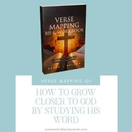 Verse Mapping 101 and Workbook Book by Susan J Nelson